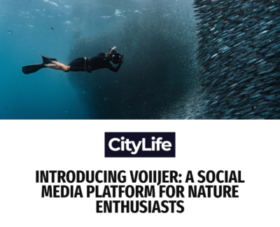 Introducing Voiijer: A Social Media Platform for Nature Enthusiasts