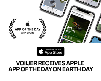 Introducing Voiijer: A Social Media Platform for Nature Enthusiasts